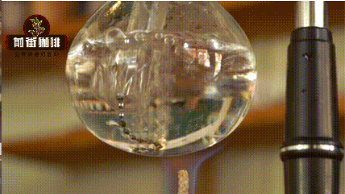 截屏2024-03-09 下午3