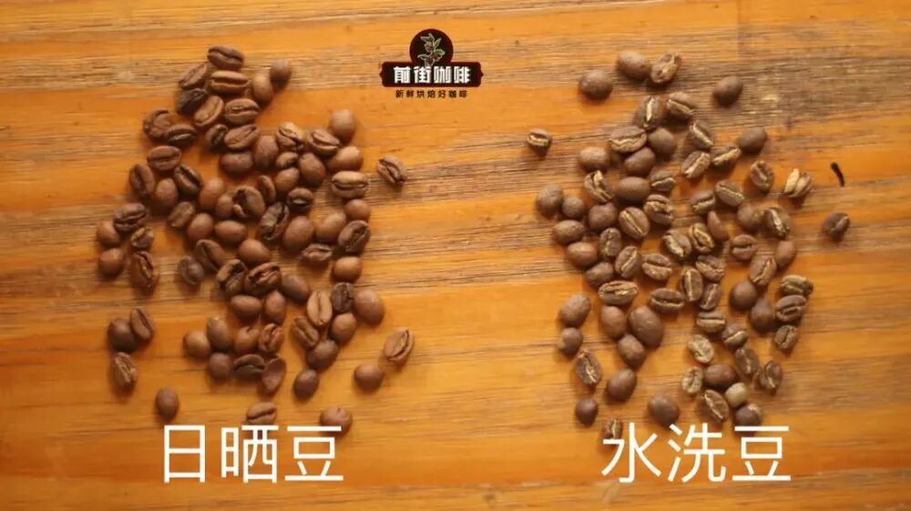 埃塞原生种 埃塞原生种