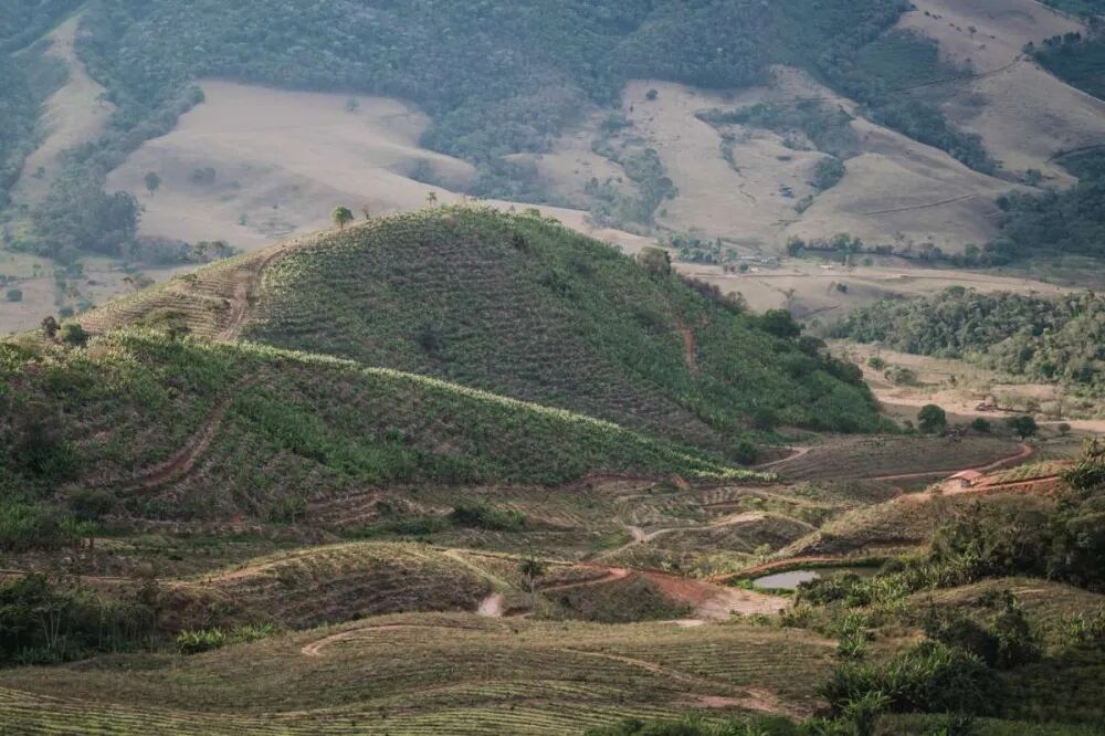 timthumb_ext_3cbaa7c6cf1f11eb76fa62a1475b82eb