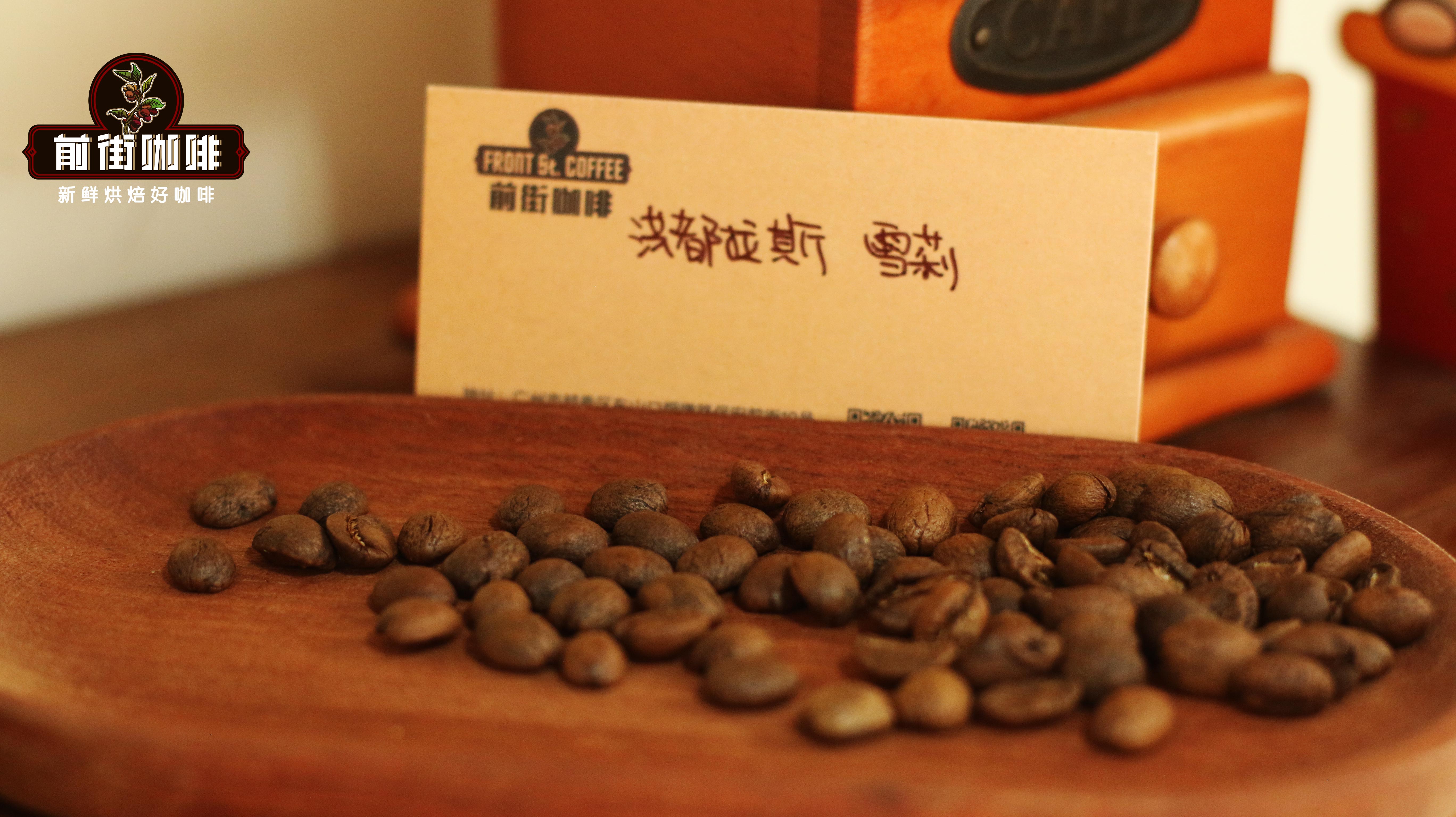 IMG_雪莉1 IMG_雪莉1