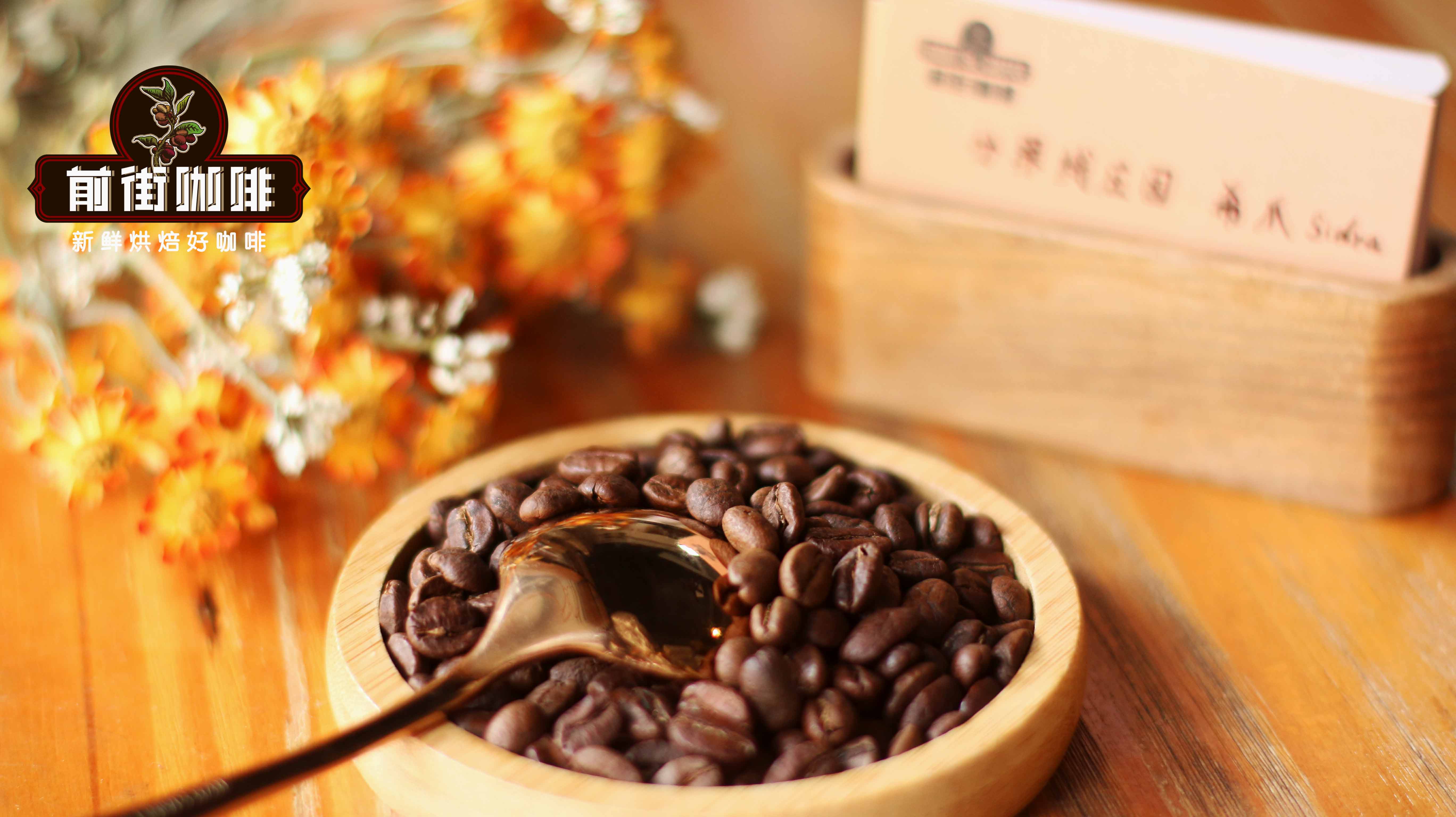 希爪9293 希爪9293