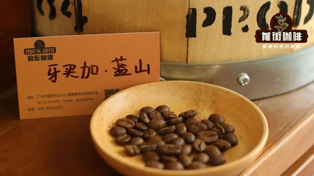 牙买加·蓝山咖啡豆 牙买加·蓝山咖啡豆