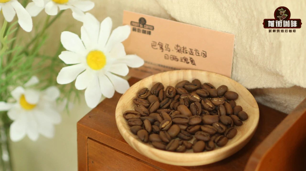 索菲亚庄园瑰夏684