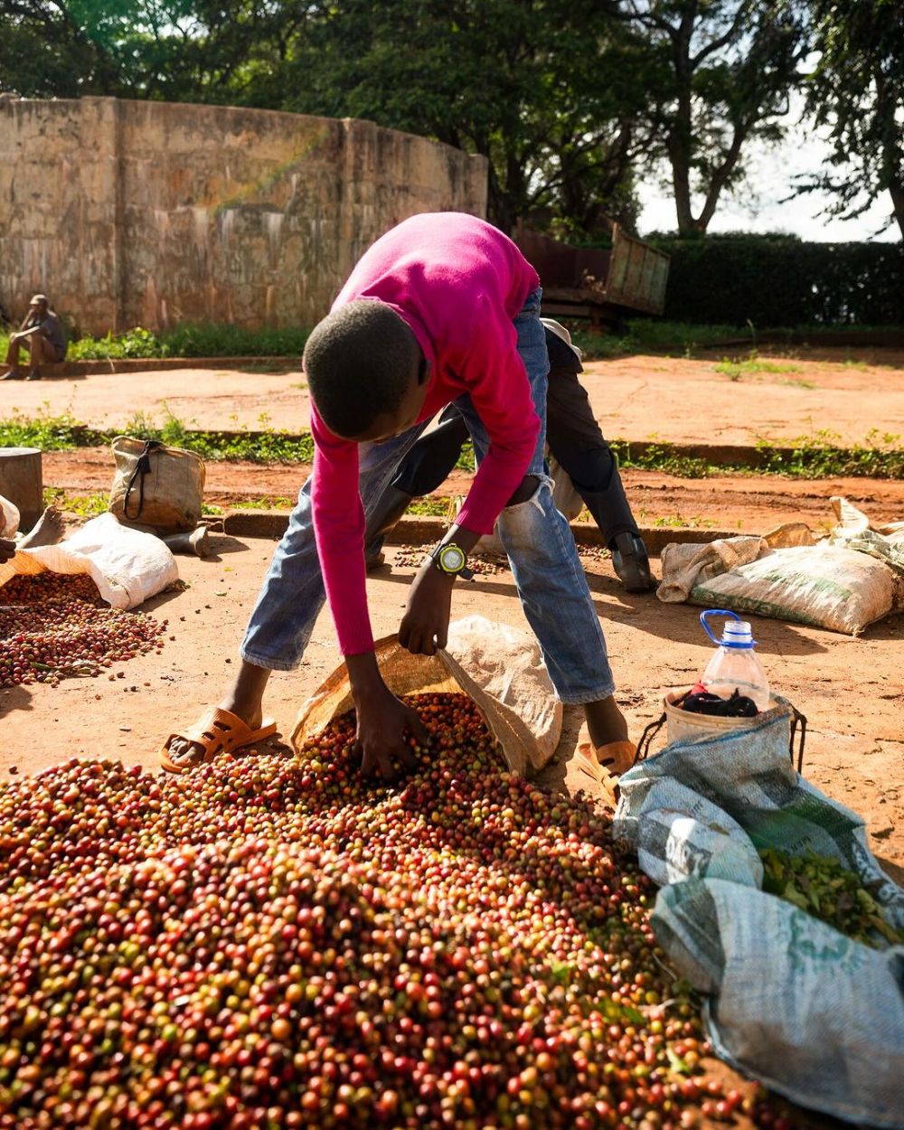 肯尼亚2961 肯尼亚2961