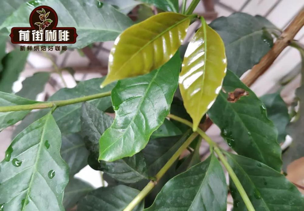 铁皮卡13131 铁皮卡13131