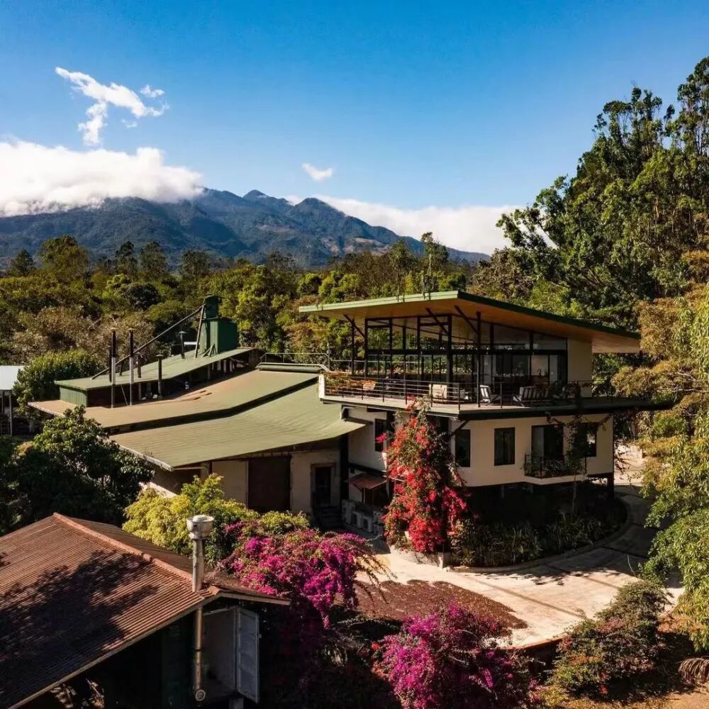 翡翠庄园71 翡翠庄园71