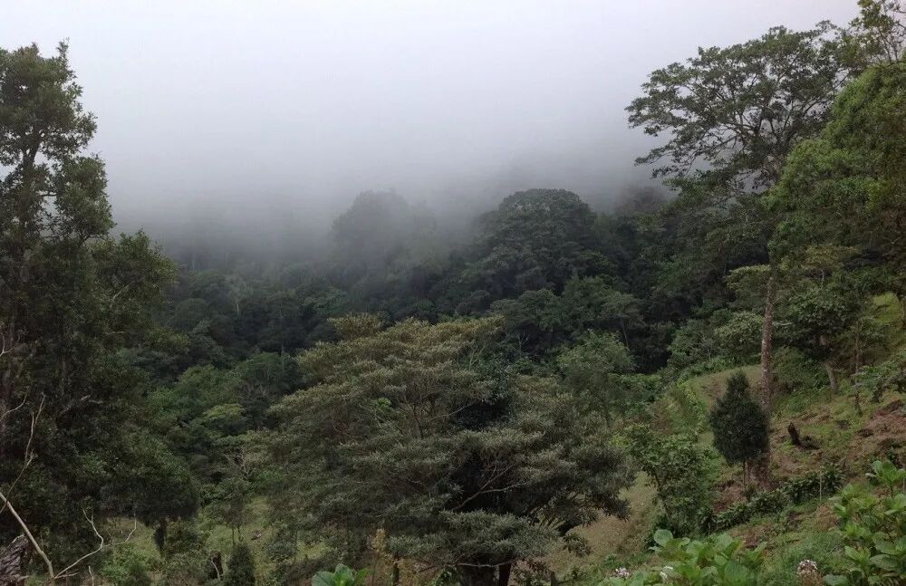 1650364275590af4 1650364275590af4