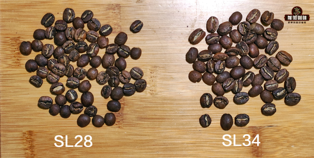 12471661507007_ 12471661507007_