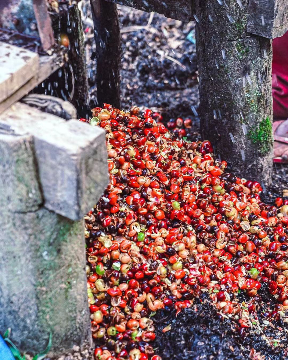 WechatIMG湿刨160 WechatIMG湿刨160