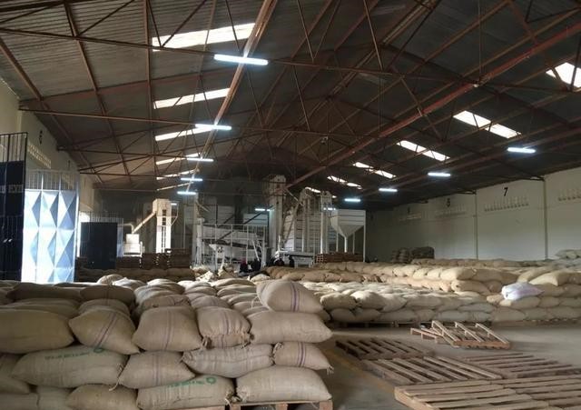 肯尼亚咖啡仓库133 肯尼亚咖啡仓库133