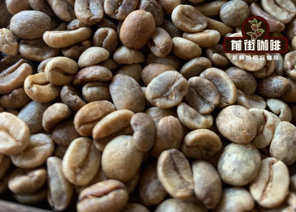 葡萄干蜜处理 巴哈生豆27