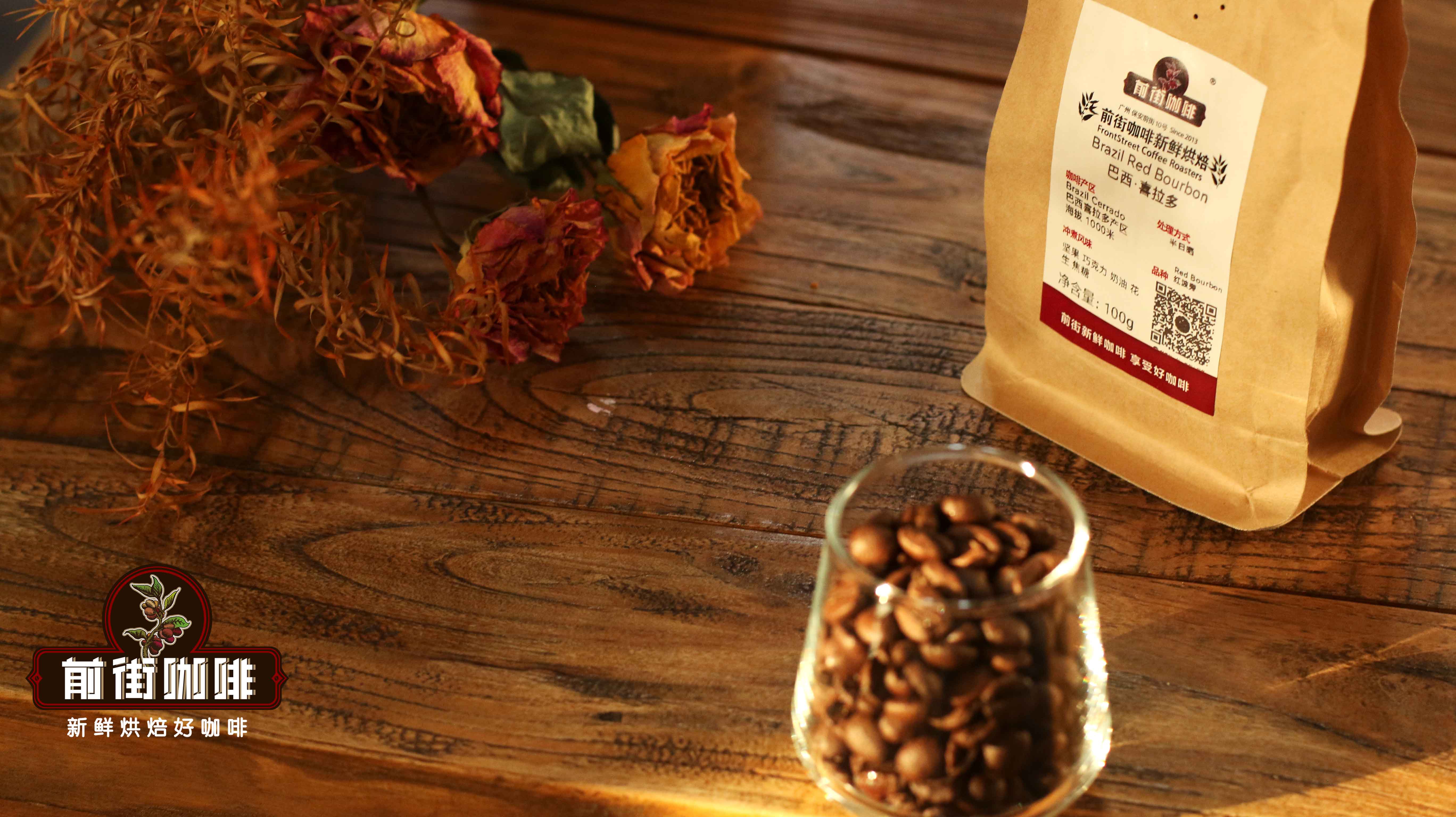 巴西喜拉多_3810