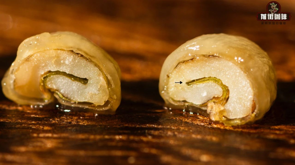 咖啡生豆 果胶f702f0