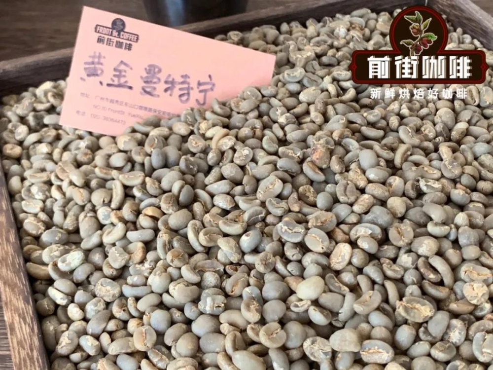 黄金曼特宁生豆2 黄金曼特宁生豆2