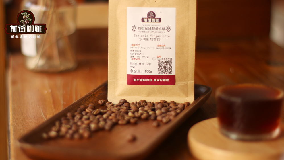 水洗 耶加雪菲079