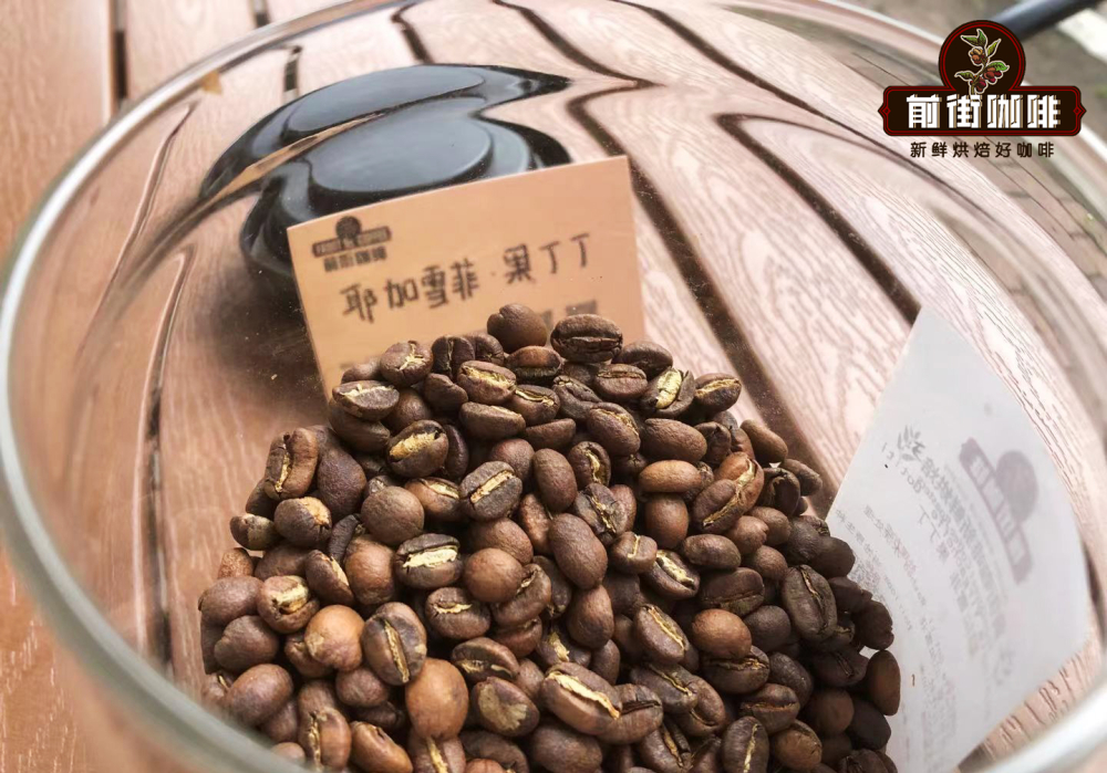 果丁丁