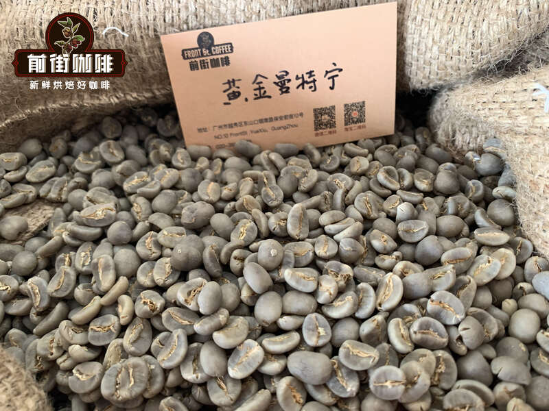 黄曼生豆9313