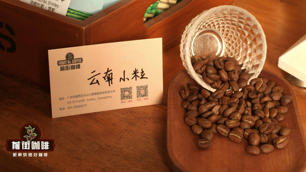 云南小粒5542 云南小粒5542