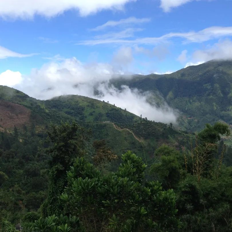 蓝山 克里夫顿4