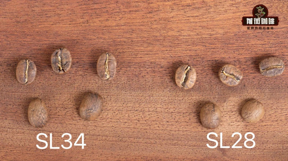 sl28和sl34 sl28和sl34