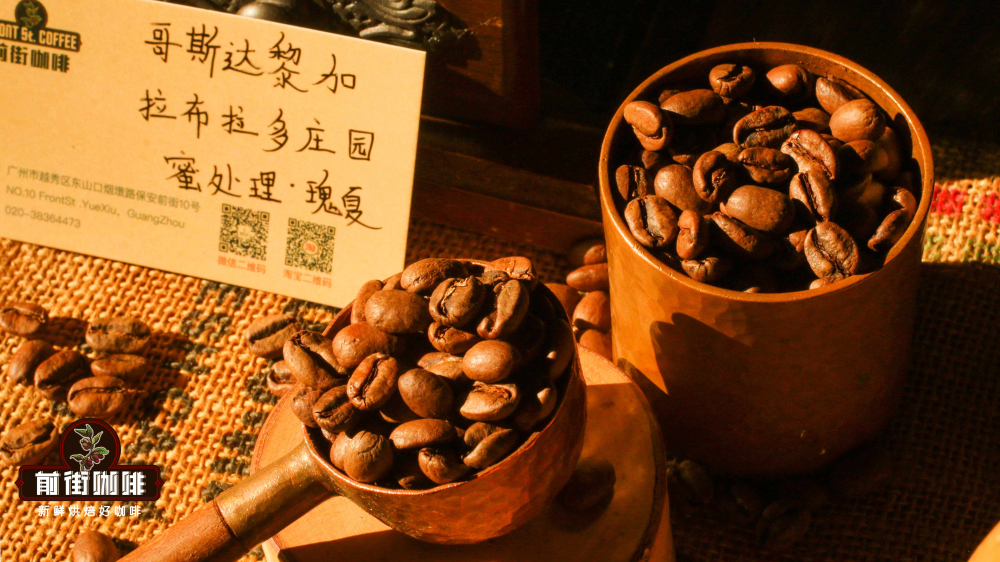 哥斯达黎加拉布拉多庄园1088