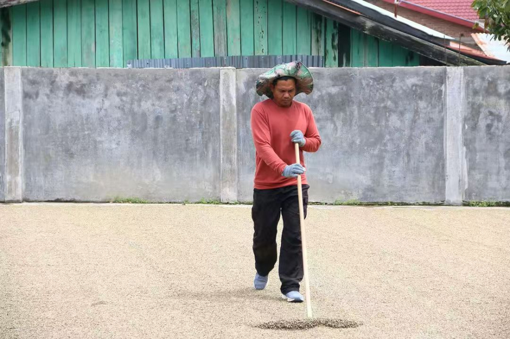 印尼湿刨3152 印尼湿刨3152
