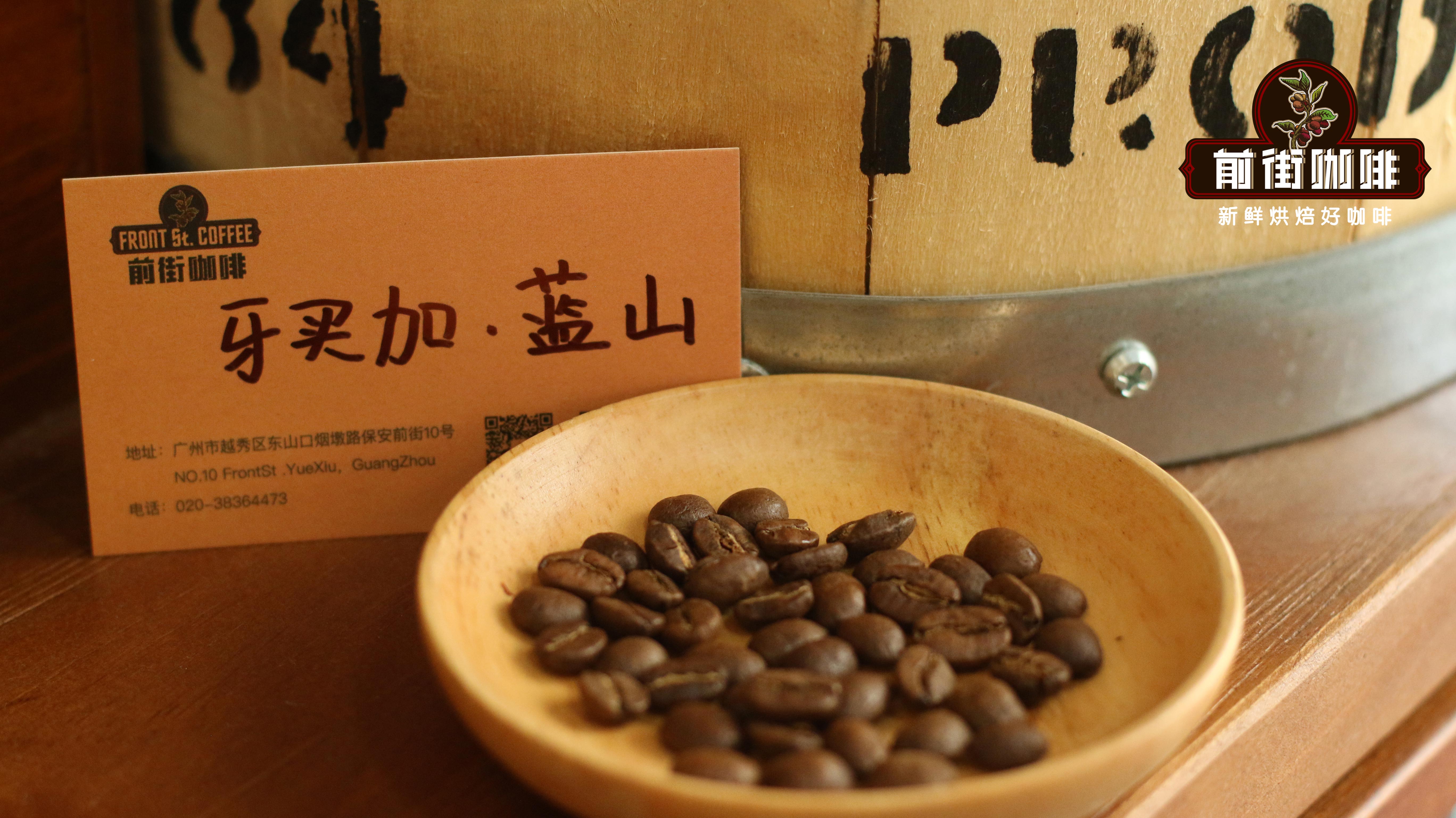 牙买加·蓝山咖啡豆 牙买加·蓝山咖啡豆
