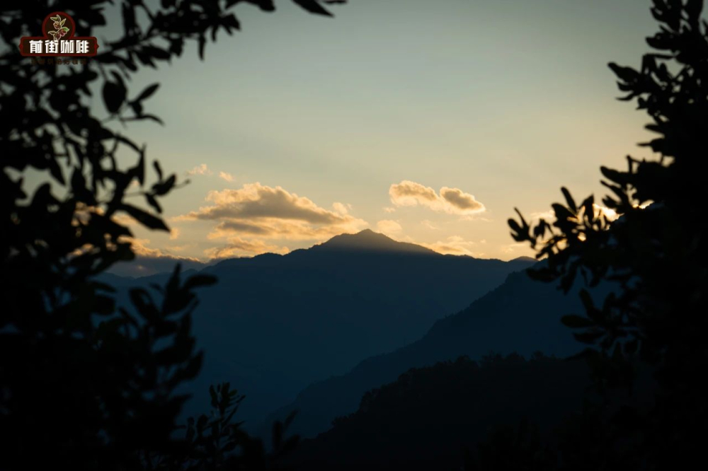 前街庄园风景550 前街庄园风景550