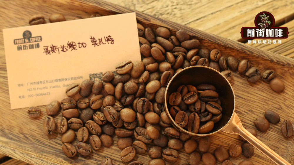 莫扎特0061 莫扎特0061