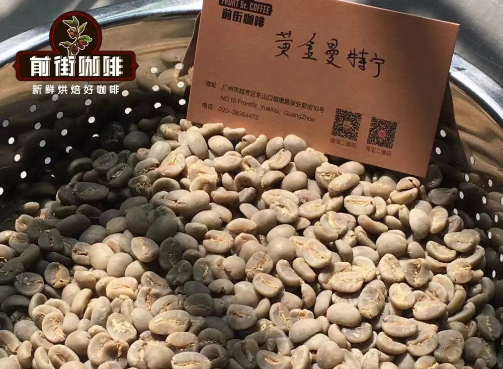 黄曼生豆 黄曼生豆