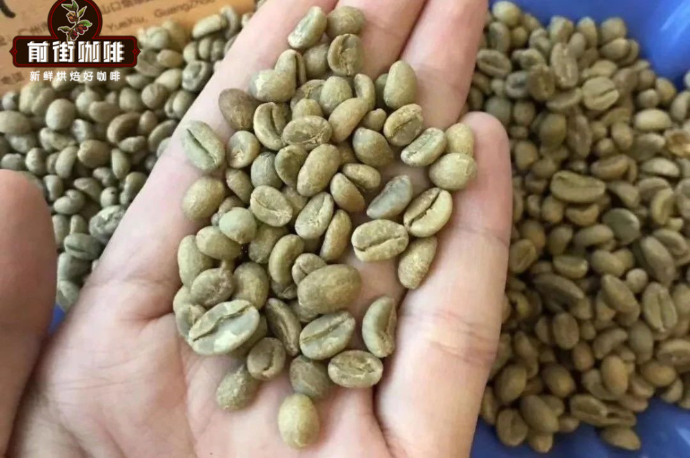 原生种生豆AN06 原生种生豆AN06