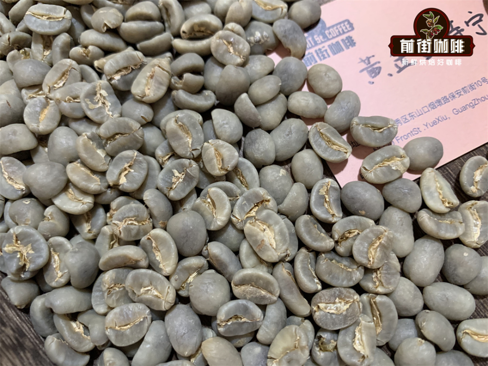 黄曼生豆073 黄曼生豆073