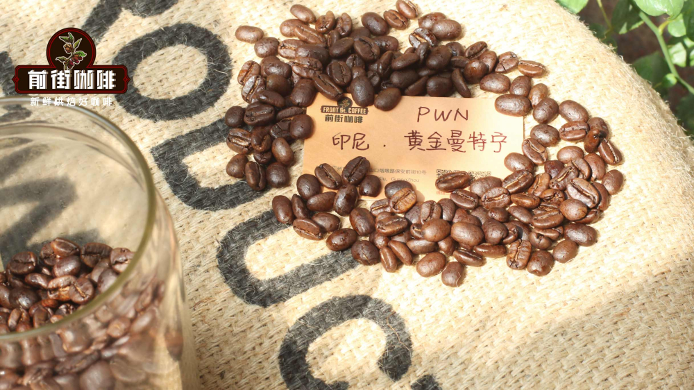 黄曼2879