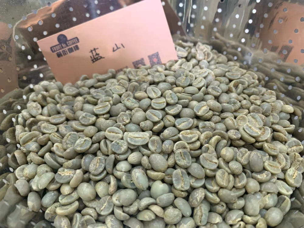 蓝山生豆1 蓝山生豆1