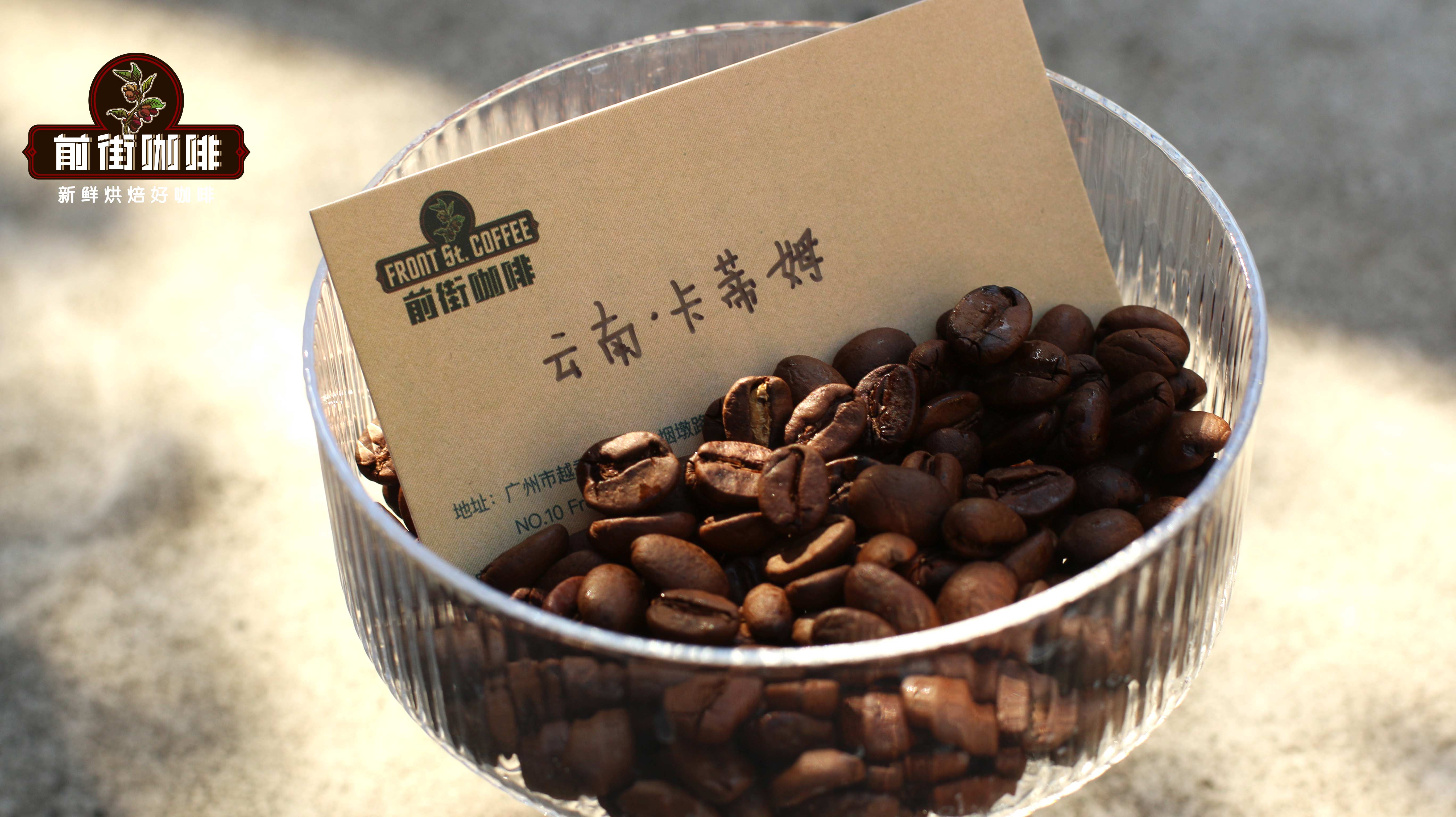 云南卡蒂姆_1568 云南卡蒂姆_1568