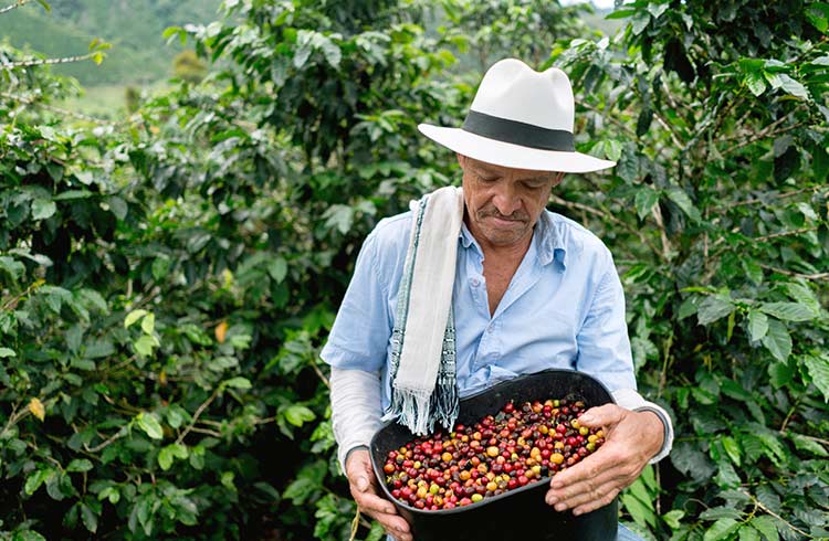 colombian-coffee colombian-coffee