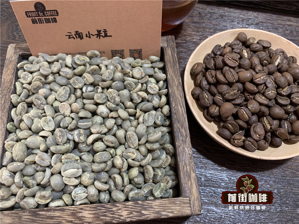 云南小粒3 云南小粒3