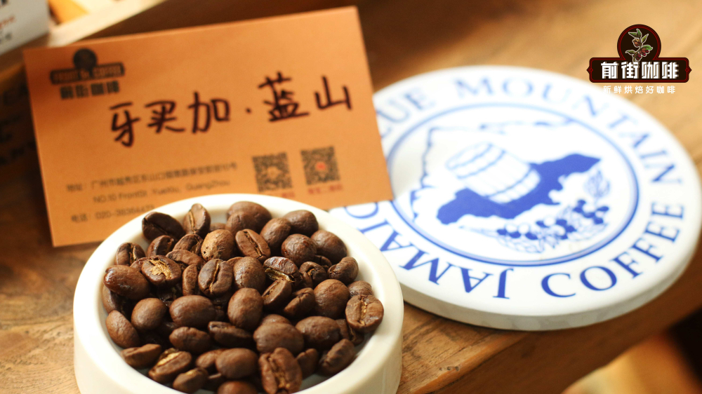 牙买加蓝山一号_6634 牙买加蓝山一号_6634
