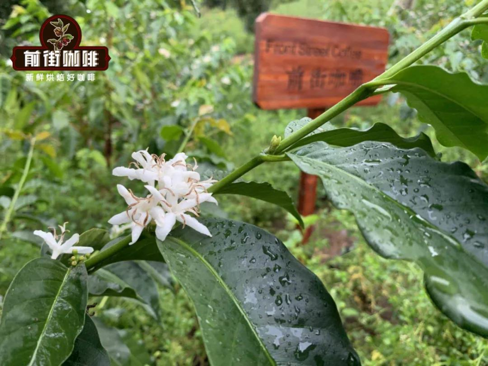 微信图片_202304301044175 微信图片_202304301044175