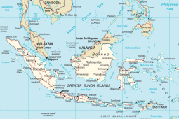 曼特宁冲煮教学｜印尼曼特尼咖啡怎么喝？手冲虹吸法压爱乐压冲泡曼特宁如何调整咖啡豆研磨度粉水比？