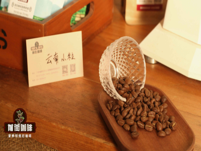 罗布斯塔咖啡豆风味口感香气特征描述简介 罗布斯塔豆的危害为什么臭名昭著 罗布斯塔油脂丰富原因