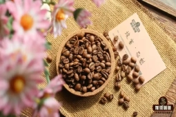 埃塞西达摩日晒花魁｜咖啡单品豆花魁和瑰夏/艺伎是同个咖啡品种吗？花魁和Geisha有何区别？