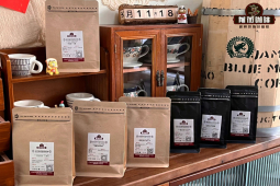 法压壶咖啡豆推荐｜什么烘焙度的咖啡豆适合法压壶冲煮？法压壶咖啡呈现出哪些咖啡风味特点？