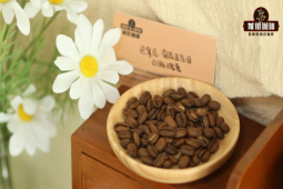 瑰夏咖啡口感｜瑰夏咖啡豆浅烘好还是深烘好？瑰夏咖啡产地在哪？gesha艺伎咖啡味道如何描述？