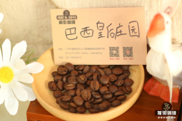 家用咖啡豆推荐 坚果可可风味热销意式豆品种 开店老板强推的不酸咖啡豆 
