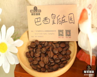 家用咖啡豆推荐 坚果可可风味热销意式豆品种 开店老板强推的不酸咖啡豆 