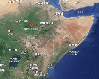 肯尼亚咖啡豆冲煮教程分享 