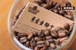单品咖啡好还是混合咖啡好？摩卡壶精品咖啡豆的SOE种类推荐 中度烘焙咖啡有什么风味口感？