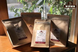 手冲咖啡和冷萃的风味区别  水温高低对咖啡萃取影响 冷萃手冲通用高容错率咖啡豆介绍 