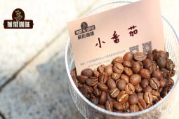 冷泡咖啡制作教学｜在家做冰咖啡选择哪些单品豆？推荐泡冷萃用的资深咖啡爱好者选择的精品咖啡豆